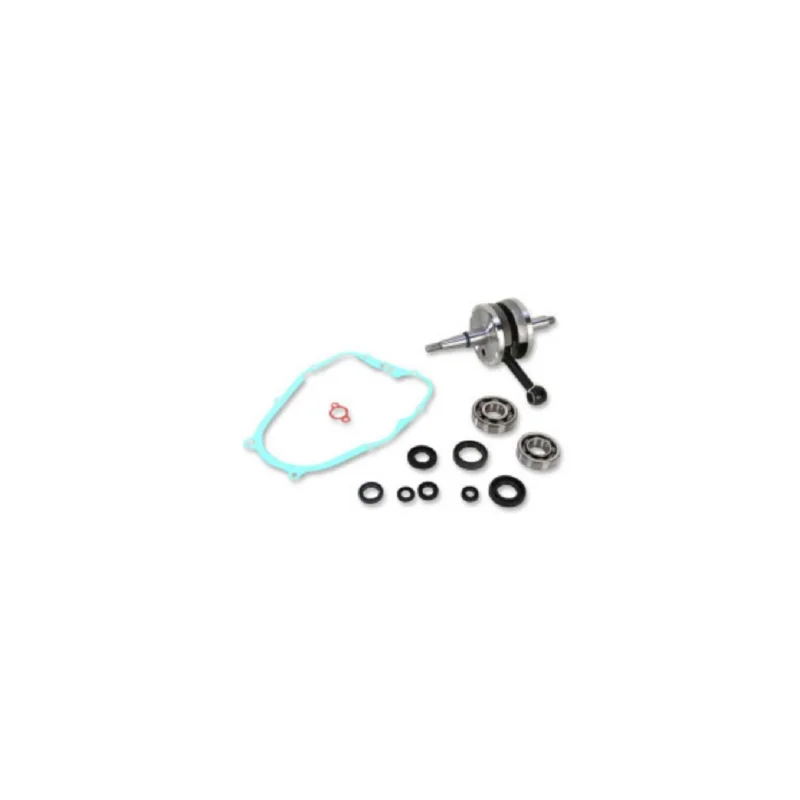 Biztonságos fizetés KIT VILEBREQUIN ROULEMENTS YAMAHA 200 BLASTER RENFORCE WISECO ET JOINTS