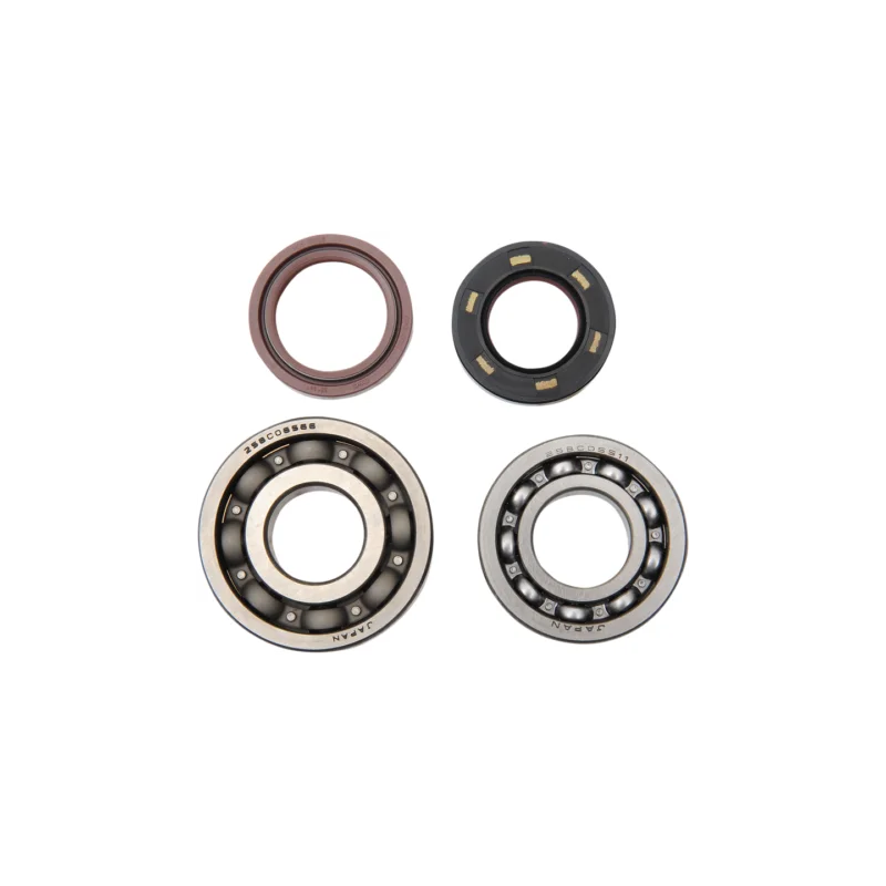 KIT ROULEMENTS VILEBREQUIN ET JOINTS SPY 200 BLASTER HOT RODS Prémium