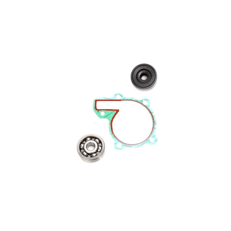 KIT JOINTS ROULEMENT POMPE A EAU 350 BANSHEE Kedvezményes ár
