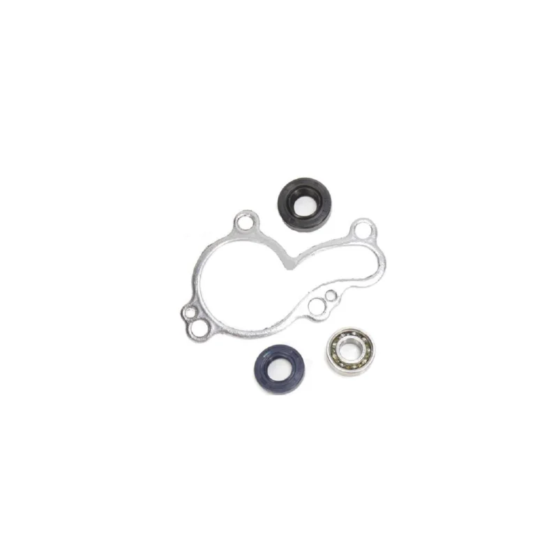 KIT JOINTS ROULEMENT POMPE A EAU KFX 450 R 08/14 Gyors szállítás