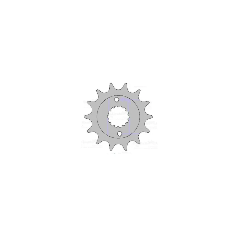 Vedd meg most PIGNON 15 DENTS AFAM MXU 250 05/12