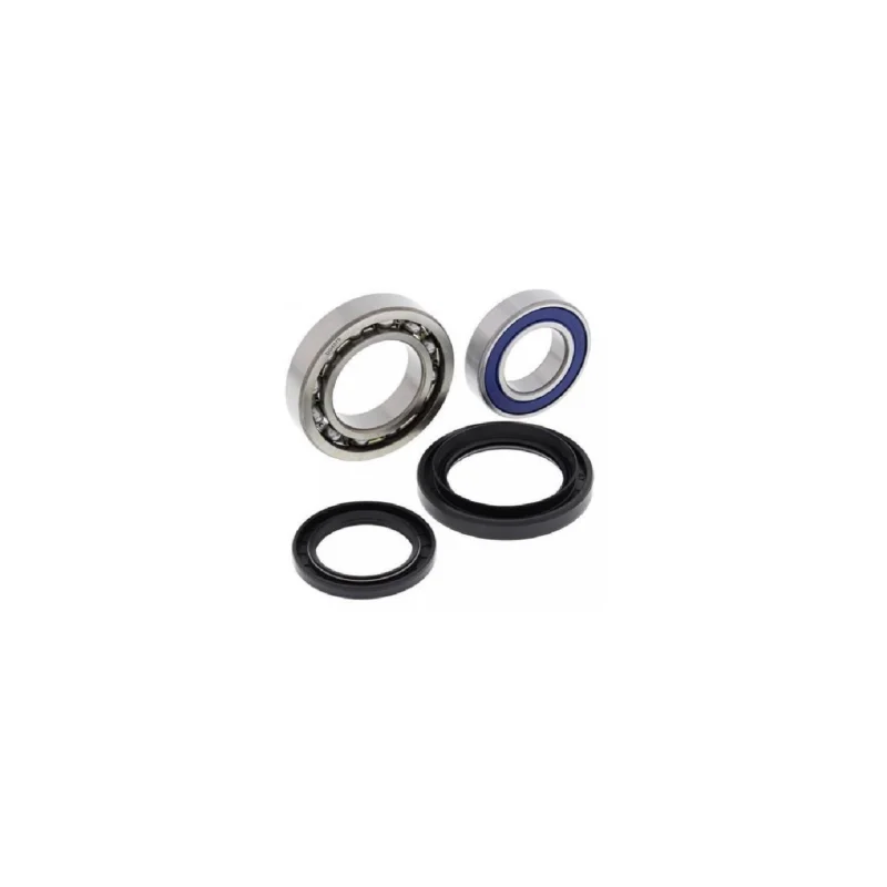 Prémium ROULEMENTS ARBRE DE ROUE PONT ARRIERE 450 YFM WOLVERINE ET JOINTS BRAS OSCILLANT 06/09