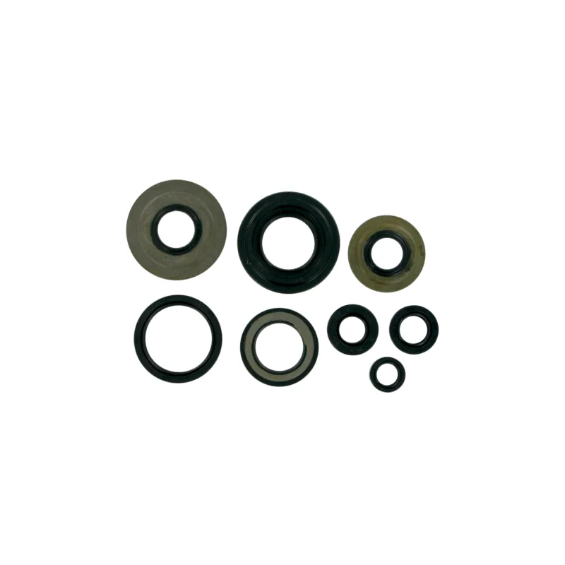POCHETTE JOINTS SPY MOOSE BAS MOTEUR YAMAHA 350 RAPTOR Prémium