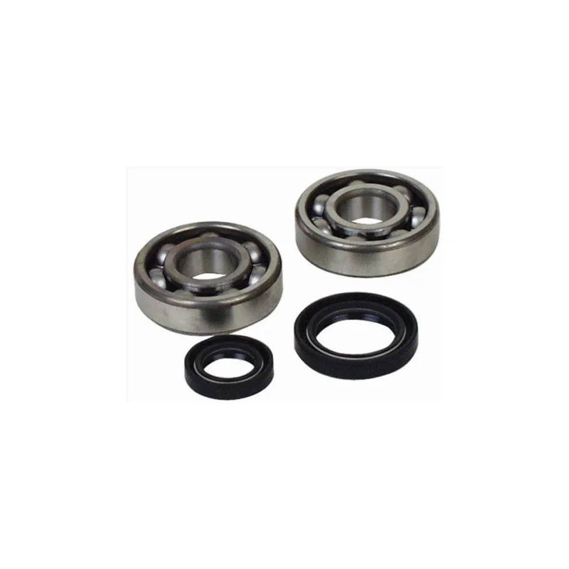 KIT ROULEMENTS ET SPI DE VILEBREQUIN SCRAMBLER 500 4X4 04/12 Expressz kézbesítés