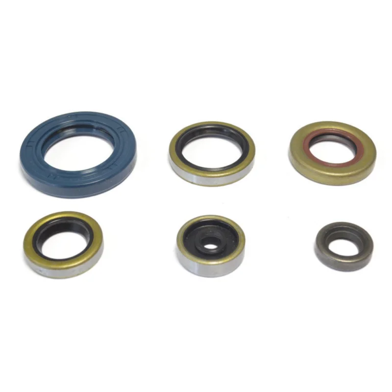 Csak ma [ Athena ] Kit de Joints Moteur 6 pieces, KTM SX 65 09-16