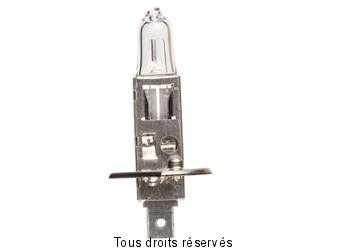 Expressz szállítás H1 - 12v 55w P14.5s