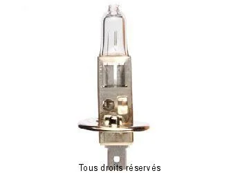 H1 Symétrique- 12v 55w P14.5s Livraison 1 paquet de 1 pcs Szuper akció
