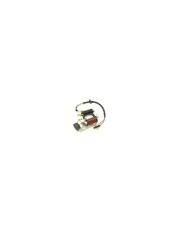 Szuper akció Stator / Plateau Allumage 2 Bobines Dirt Bike & Quad
