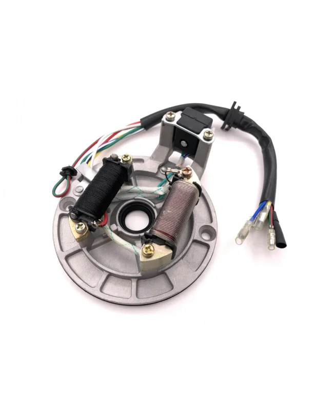 Stator / Plateau Allumage 2 Bobines Dirt Bike / Pit Bike Vedd meg most