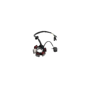 Stator / Plateau Allumage 6 Bobines Dirt Bike & Quad Gyors kiszállítás